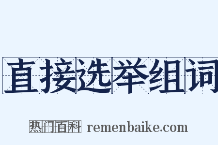 直接选举组词是什么意思的图片